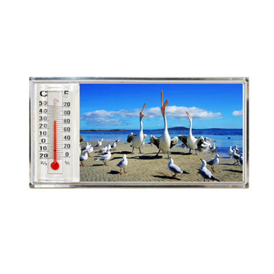 3D Thermometer Magnet Pelican